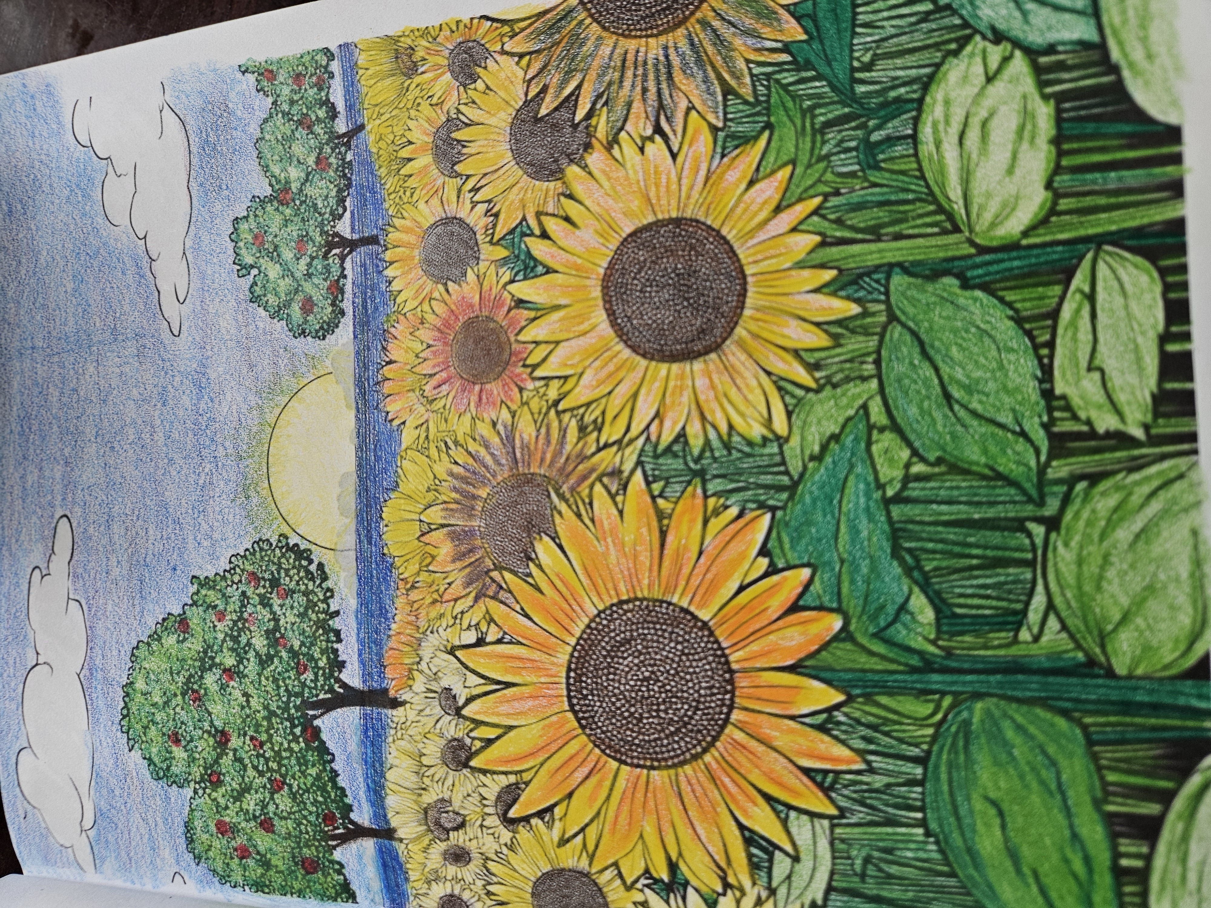 Colored Color With Marenda coloring page